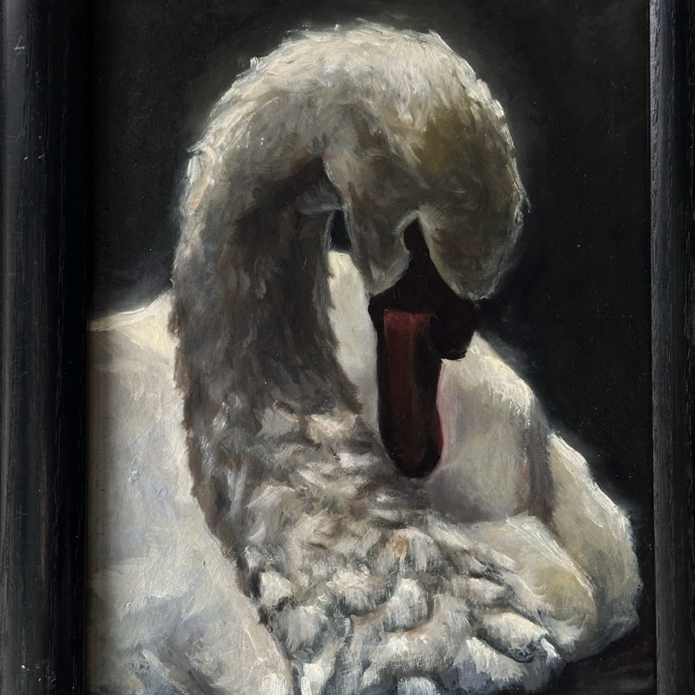 Image of swan 