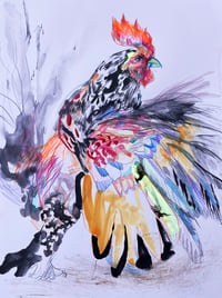 Image 1 of Rooster Study
