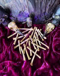 Image 2 of Elder Futhark Coyote Foot Bone - Runes 