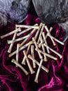 Elder Futhark Coyote Foot Bone - Runes 
