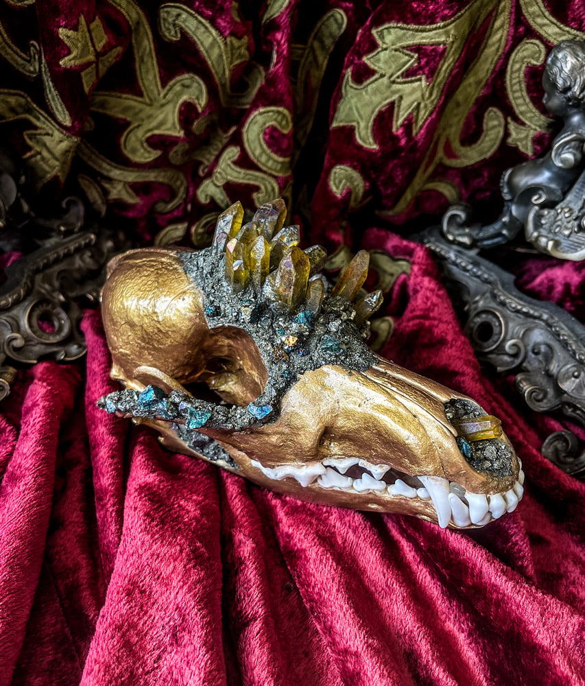 Image of Chalcopyrite & Yellow Aura Quartz - Coyote Skull