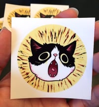 Image 1 of Yelly Shelly - Tuxedo Cat Vinyl Sticker