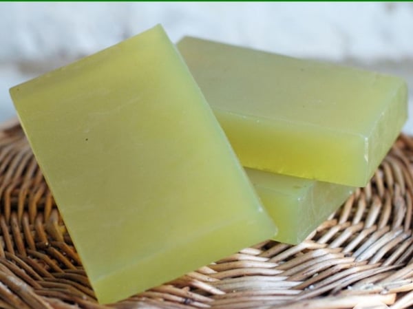 Image of Forever green