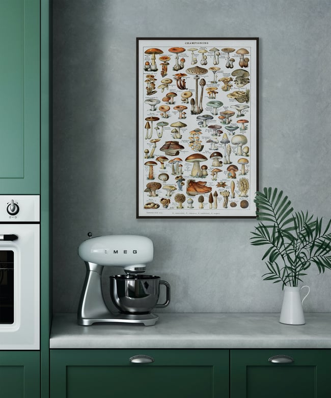 Mushrooms | Adolphe Millot | Retro Botanical Print | Vintage Poster | Wall art Print