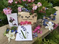 Flower Pressing Kit
