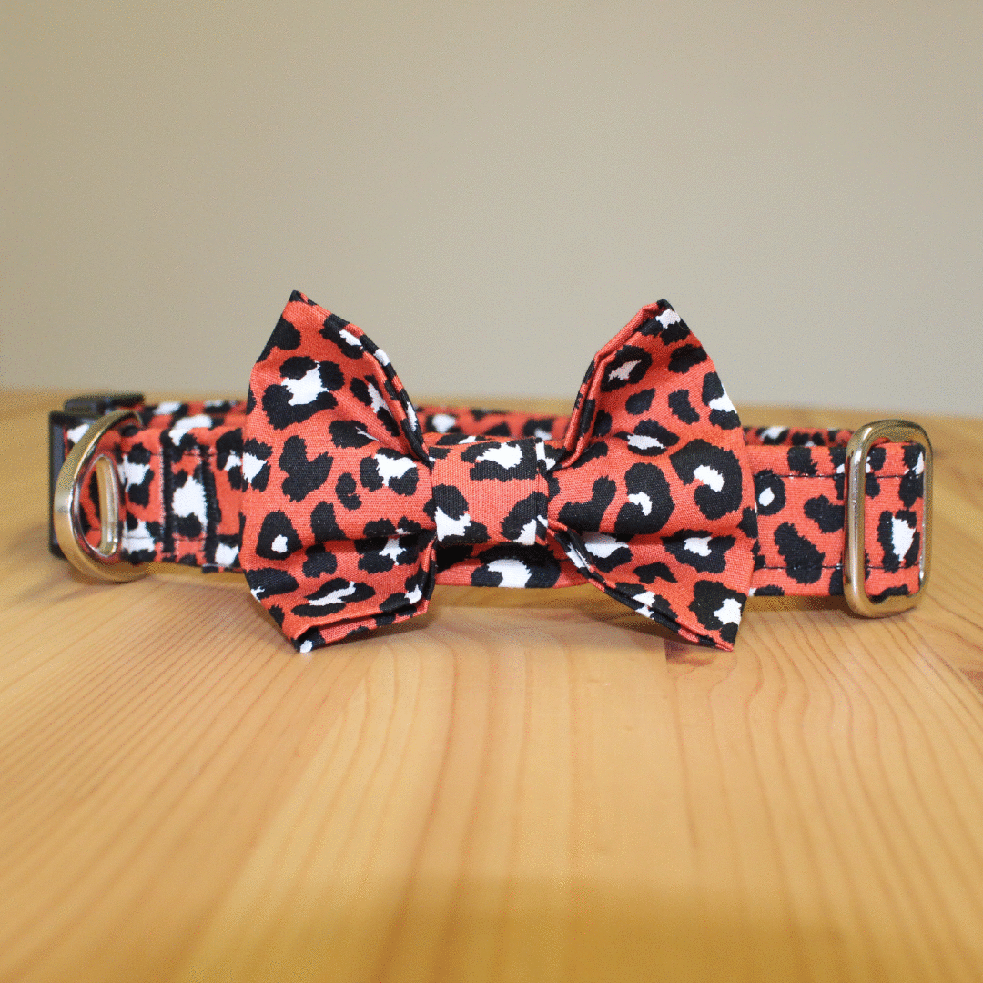 Image of Leopard print 1 inch collar