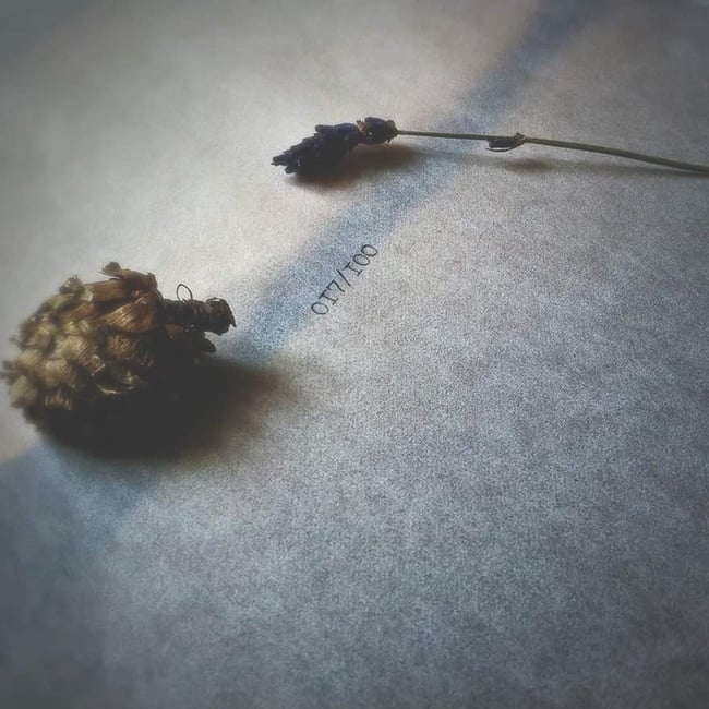 Squanto - Every Night Draws the Same Crowd