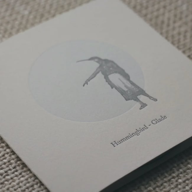 Hummingbird - Glade