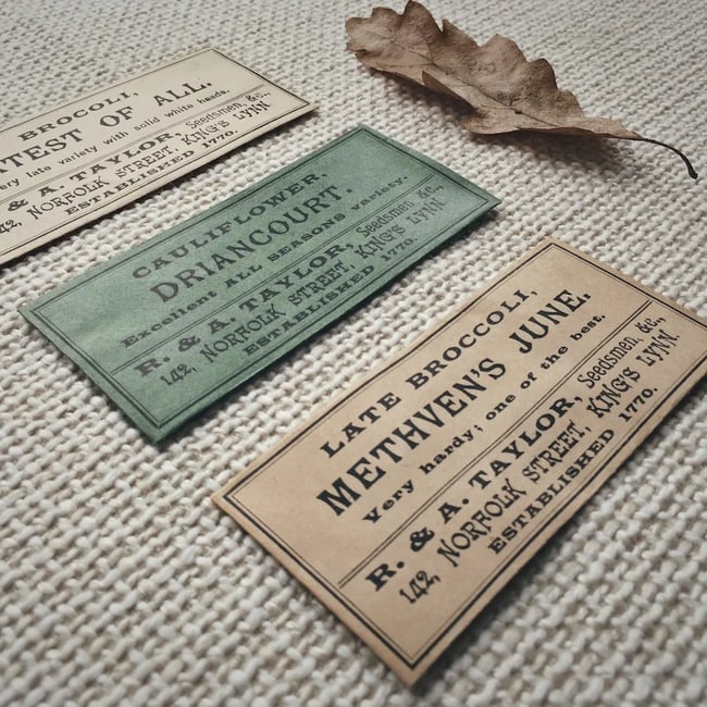 øjeRum - The Blossoming Of The Nothingness Trees