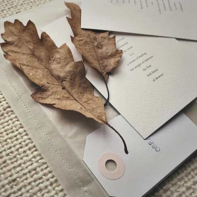 øjeRum - The Blossoming Of The Nothingness Trees