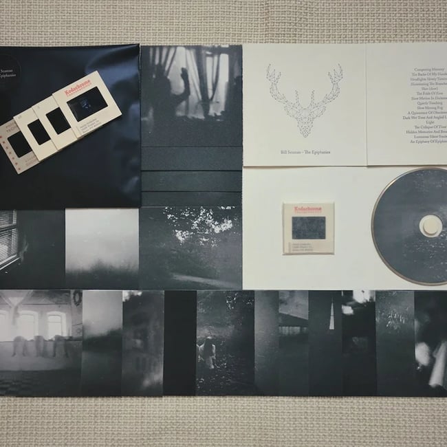 Bill Seaman - The Epiphanies