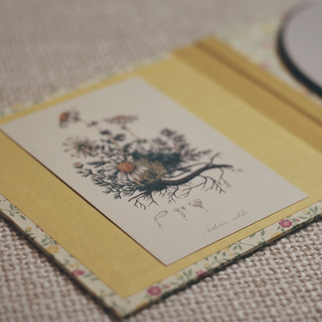 Dalot & Sound Awakener - Little Things