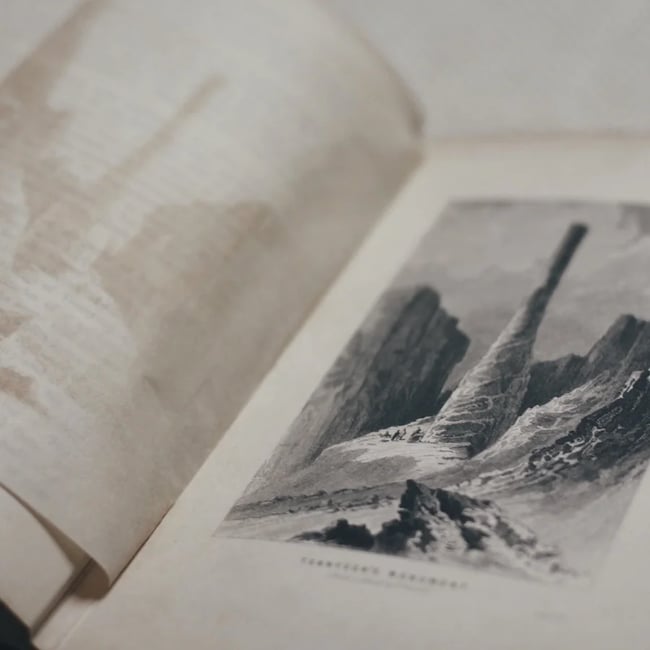 Moss Covered Technology - And His Many Seas