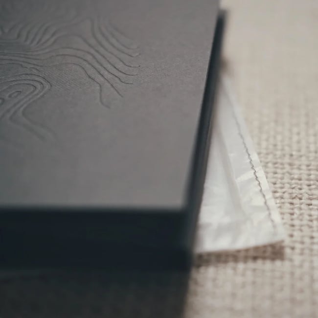 Antonymes - The Licence To Interpret / Re-Interpret Dreams