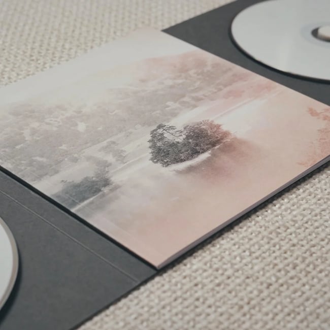 Antonymes - The Licence To Interpret / Re-Interpret Dreams