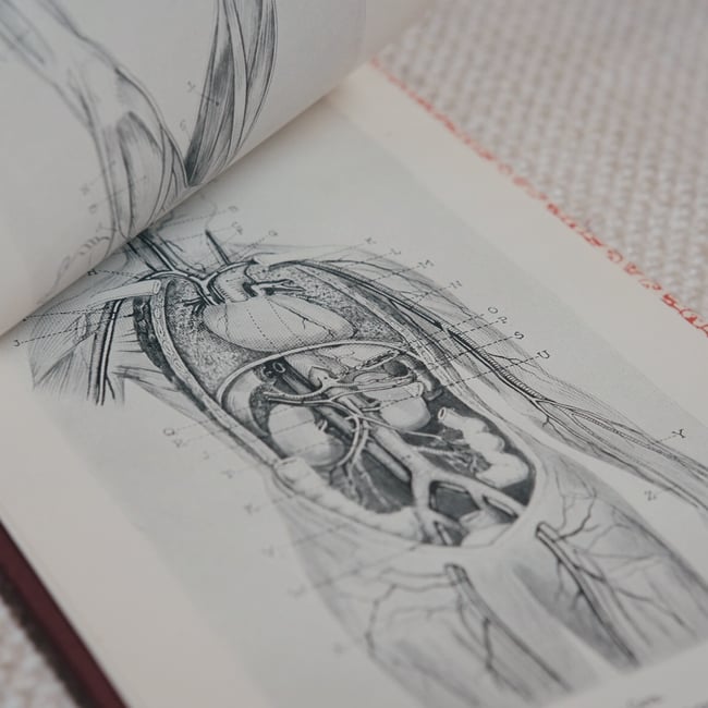 Sven Laux & Harry Towell - Until We Fall