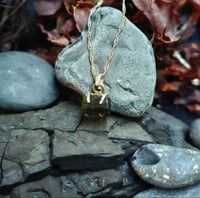 Image 1 of Alaria Esculenta : Dabberlock