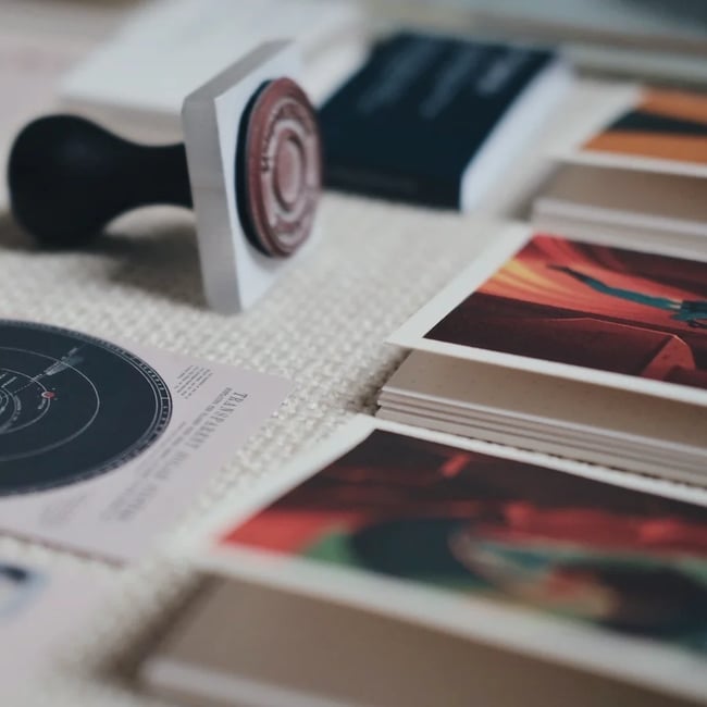 Erik Williamson - The Streets Are Quiet, But The Birds Very Loud