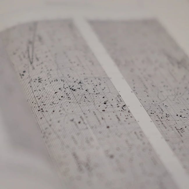 Erik Williamson - The Streets Are Quiet, But The Birds Very Loud