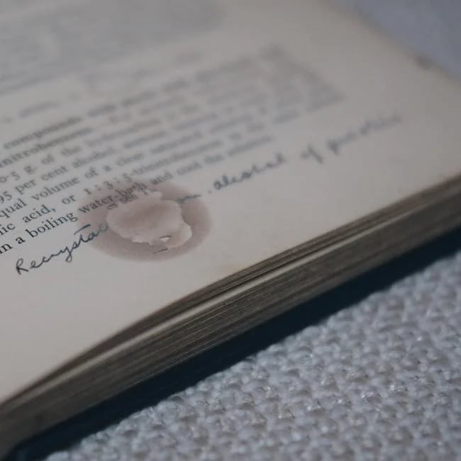 Grotta Veterano - Unfolding Drama