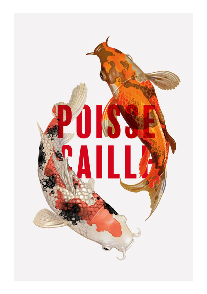 Image of Poisse caille 