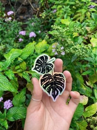 Image 2 of PLANT POWER- holographic sticker