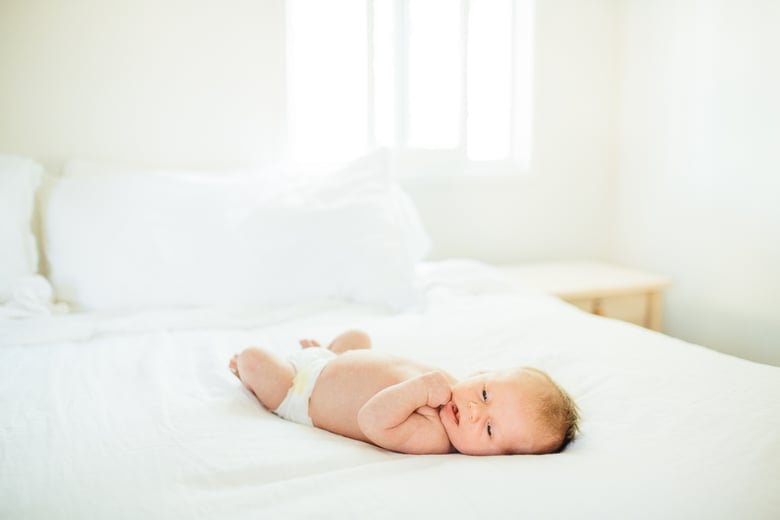 Image of In-Home Newborn Session 