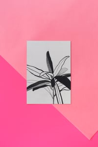 Image 5 of WUNDERSTRAUCH - postcards in a set of three