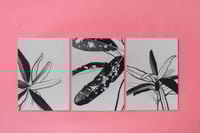 Image 2 of WUNDERSTRAUCH - postcards in a set of three