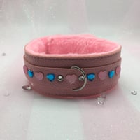 Pink/Blue Collar 
