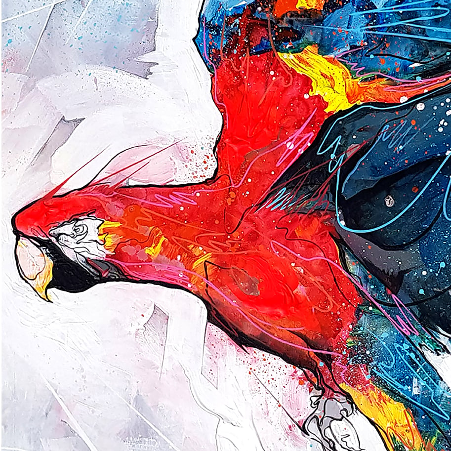 Macaw In Flight - SIGNED OPEN EDITION PRINT - FREE WORLDWIDE SHIPPING!!!