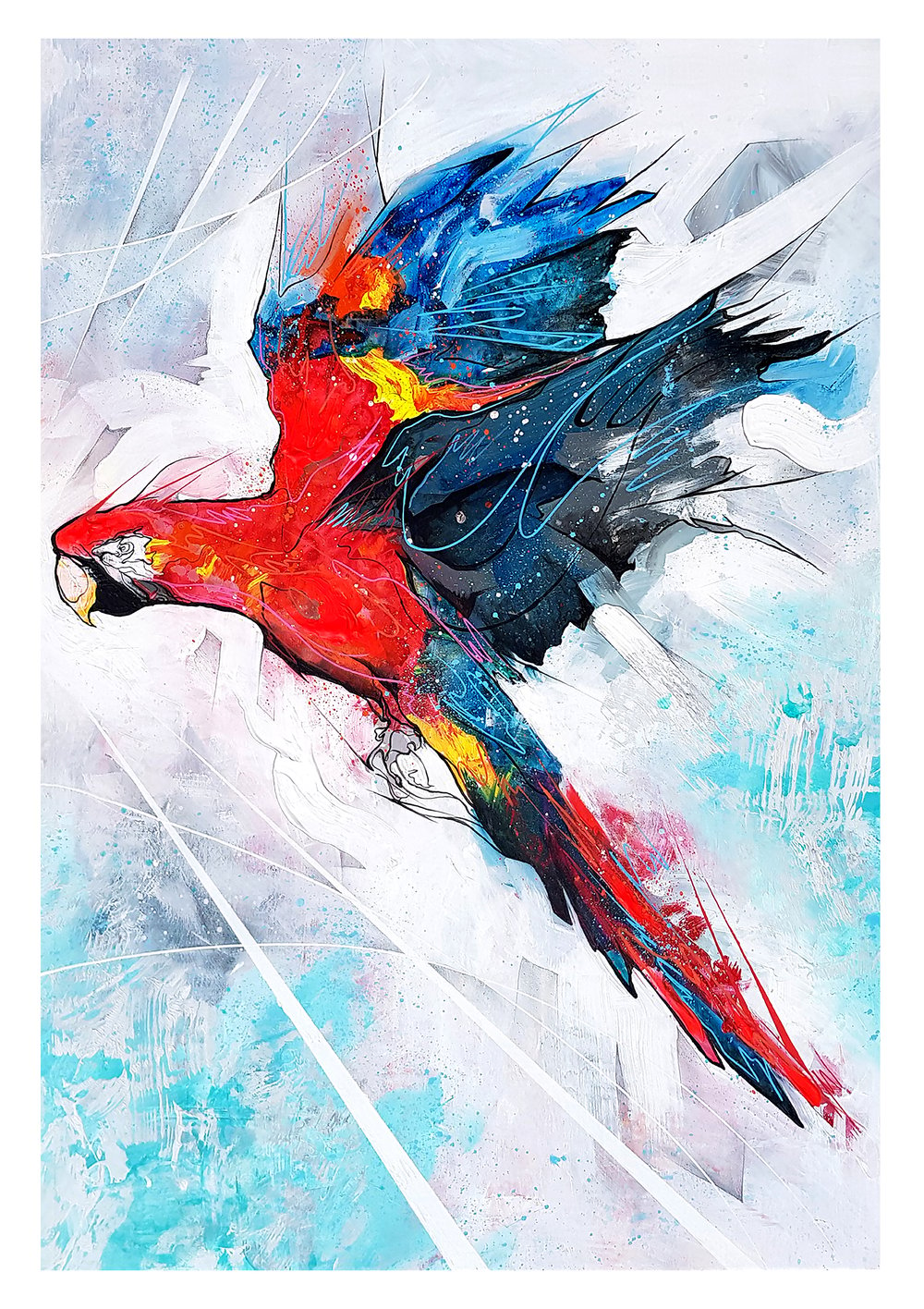 Macaw In Flight - SIGNED OPEN EDITION PRINT - FREE WORLDWIDE SHIPPING!!!