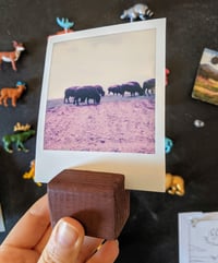 Image 4 of Camping Polaroid