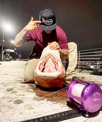 Image 1 of GUIDED SHARK FISHING!!