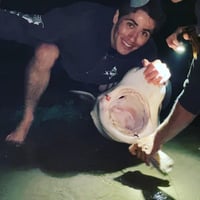 Image 2 of GUIDED SHARK FISHING!!