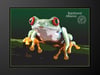 P0002 - Tree frog posterized