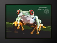 Image 1 of Tree frog posterized - P0002