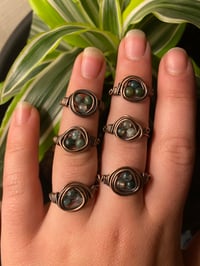 Image 1 of Nesties (moss agate)