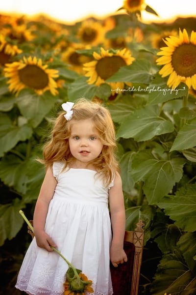 Image of Sunflower field Sessions