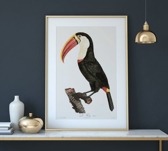Toucan | Retro Tropical Print | Animal Kingdom Poster | Vintage Print