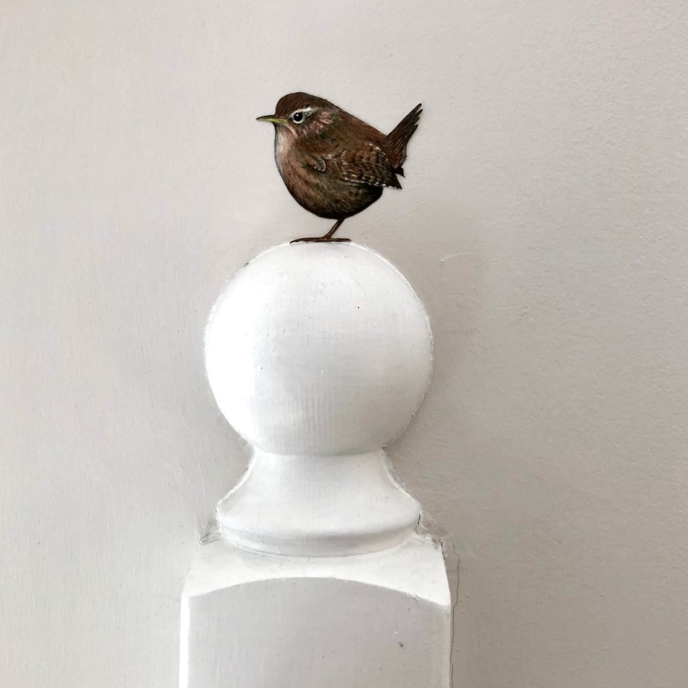 Image of Jenny Wren ~ Wall sticker.