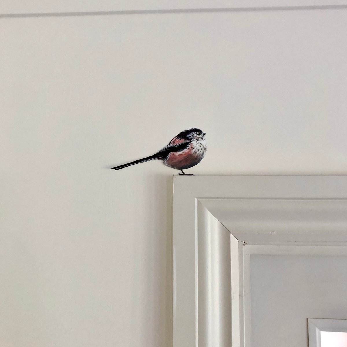 Image of Tilly the Long tailed tit ~ Wall sticker.
