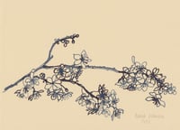 Image 1 of Spring Blossom Branch