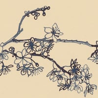 Image 2 of Spring Blossom Branch