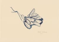 Image 1 of Maple Keys