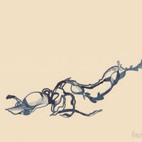 Image 2 of Dried Seaweed