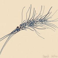 Image 2 of Ear of Wheat
