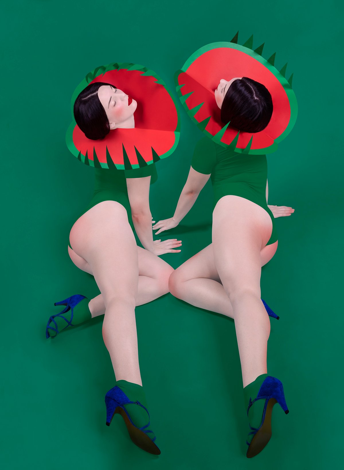 Image of Dionaea muscipula sun bathing 