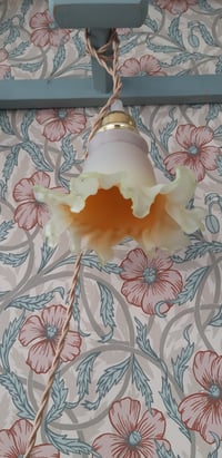 Image 2 of Lampe baladeuse tulipe jaune orangé 