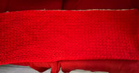 Image 4 of Cozy Dog Blanket Red with fleece